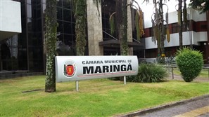 “Maringá em números” – 96,1% dos maringaenses são contra o aumento do número de vereadores na cidade