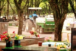 Município faz campanha para prevenir dengue nos cemitérios de Maringá