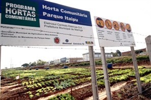 Produtores de seis Hortas Comunitárias da região Sul da cidade foram capacitados em encontro setorial