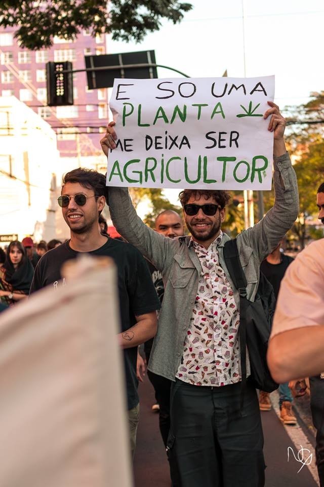 Requerimento pede segurança durante a marcha da maconha