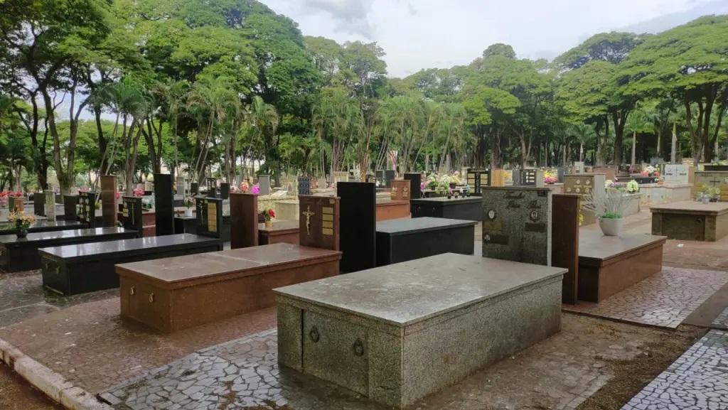 700 túmulos abandonados em Maringá podem ser desapropriados
