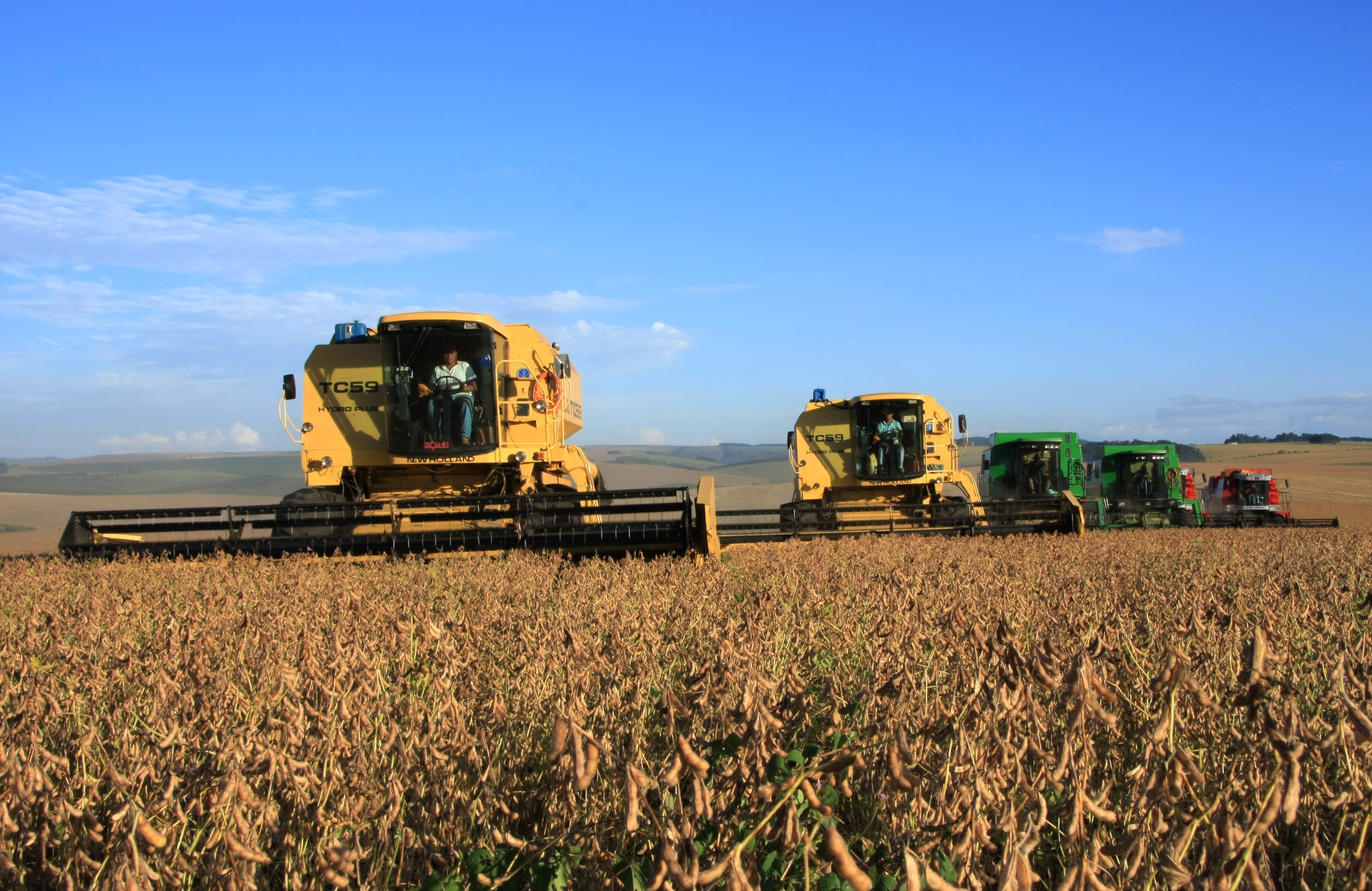 Agropecuária do Paraná em 2017 teve o melhor desempenho em quatro anos