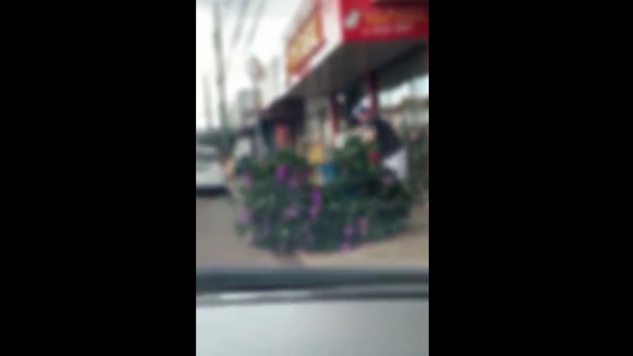 Morador que arrancou árvore sadia em Astorga poderá pagar multa de até R$ 225 mil