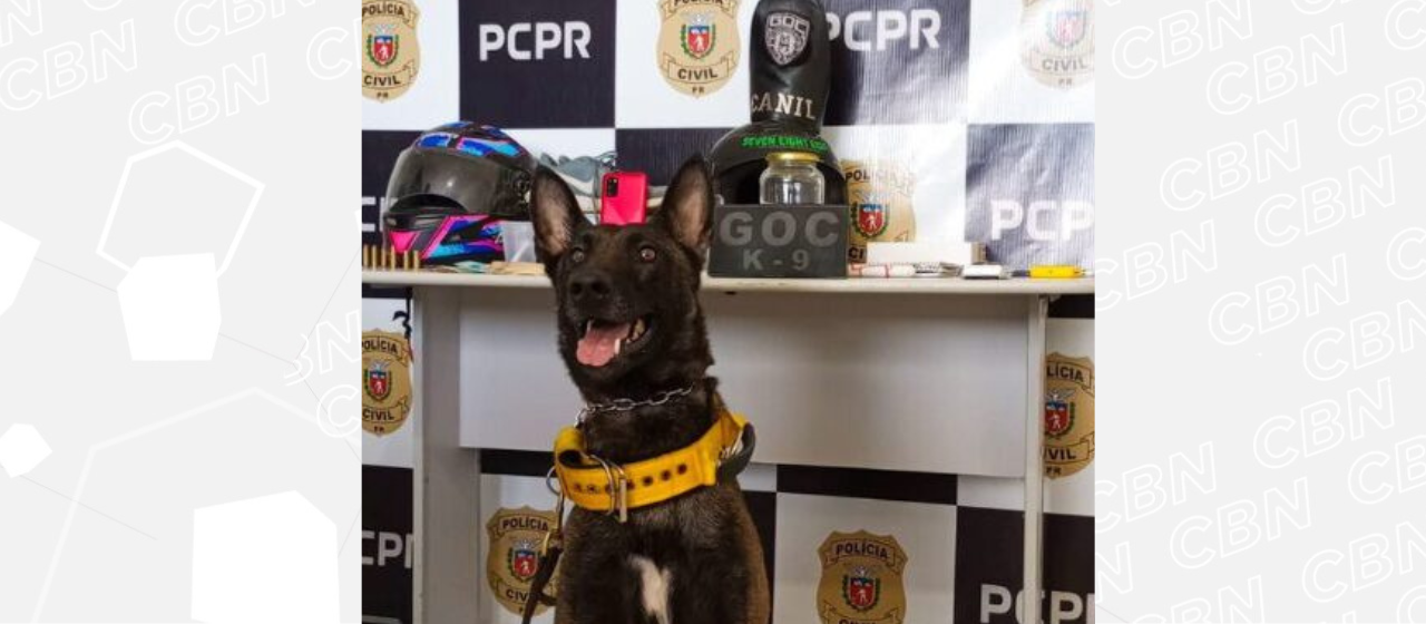 Quatro suspeitos são presos em operação contra o tráfico de drogas em Sengés