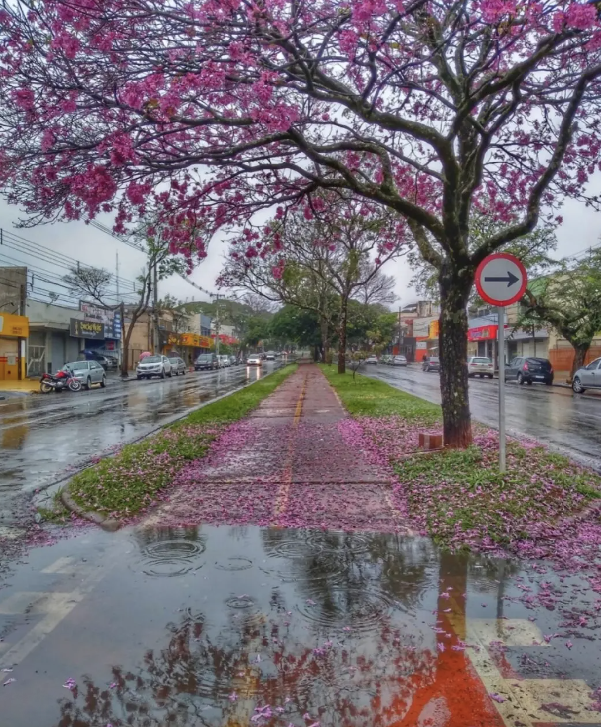 Veja os detalhes da previsão do tempo para este domingo pelo Estado