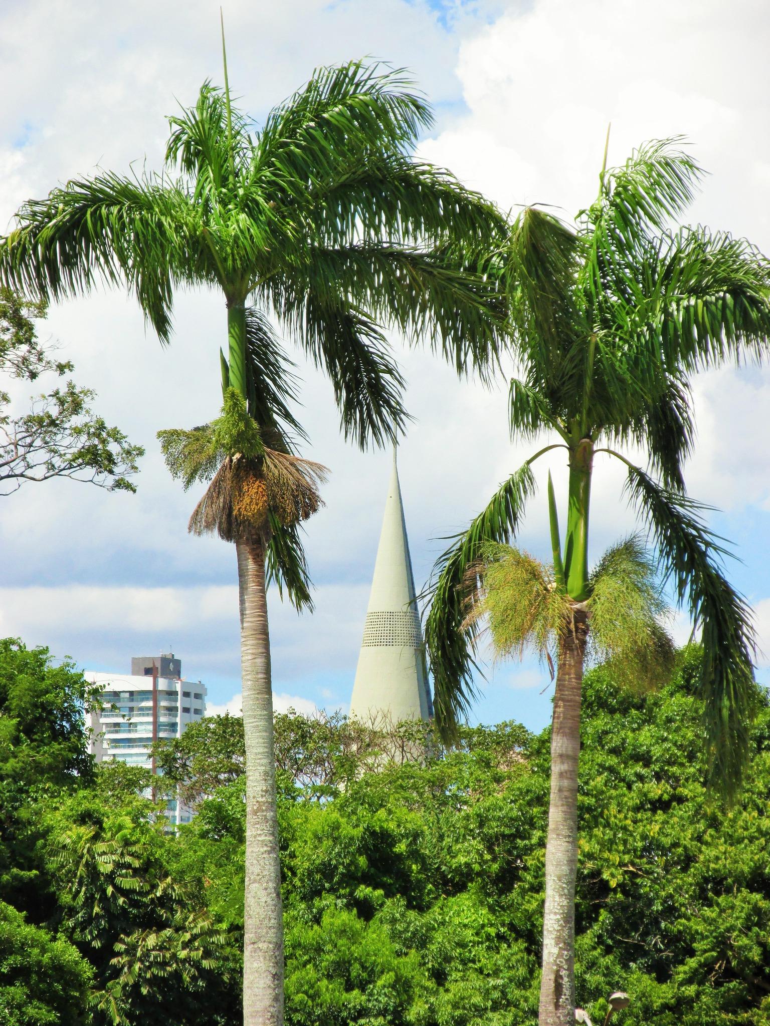 Simepar prevê pancadas de chuva nesta quarta-feira (23), em Maringá