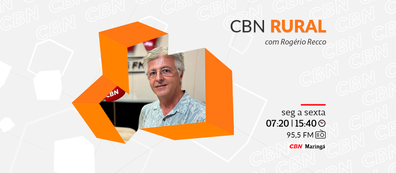 EUA começam a importar óleo de cozinha usado do Brasil