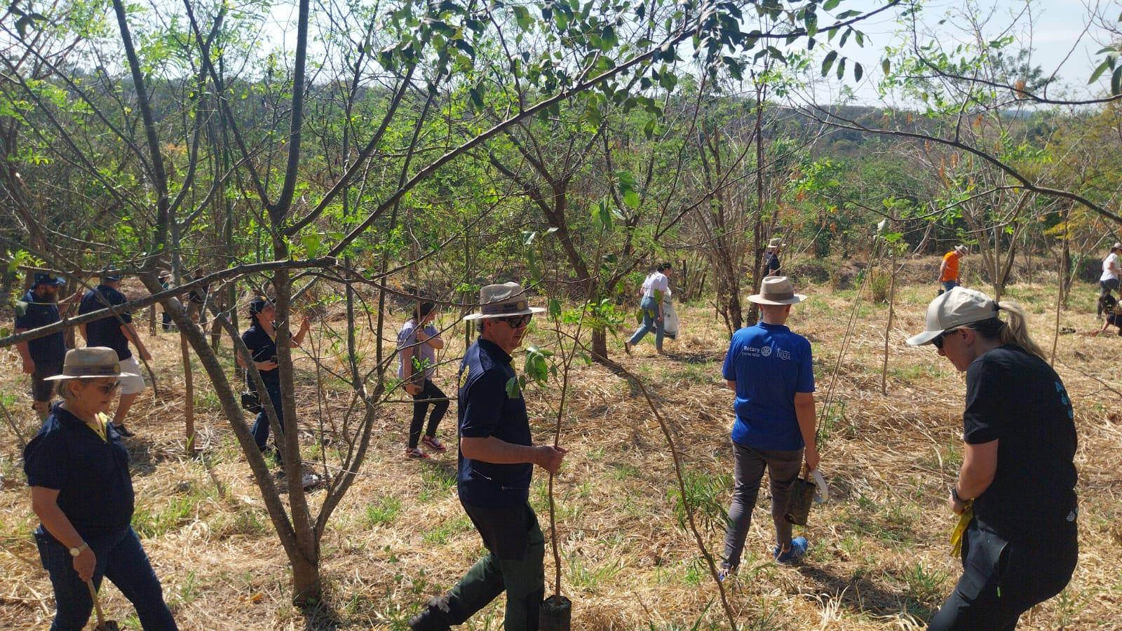 Voluntários plantam mais de 100 árvores no Bosque da Amizade