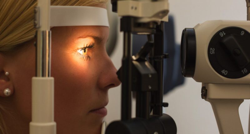 Exames gratuitos ajudam a detectar lesão ocular causada por toxoplasmose