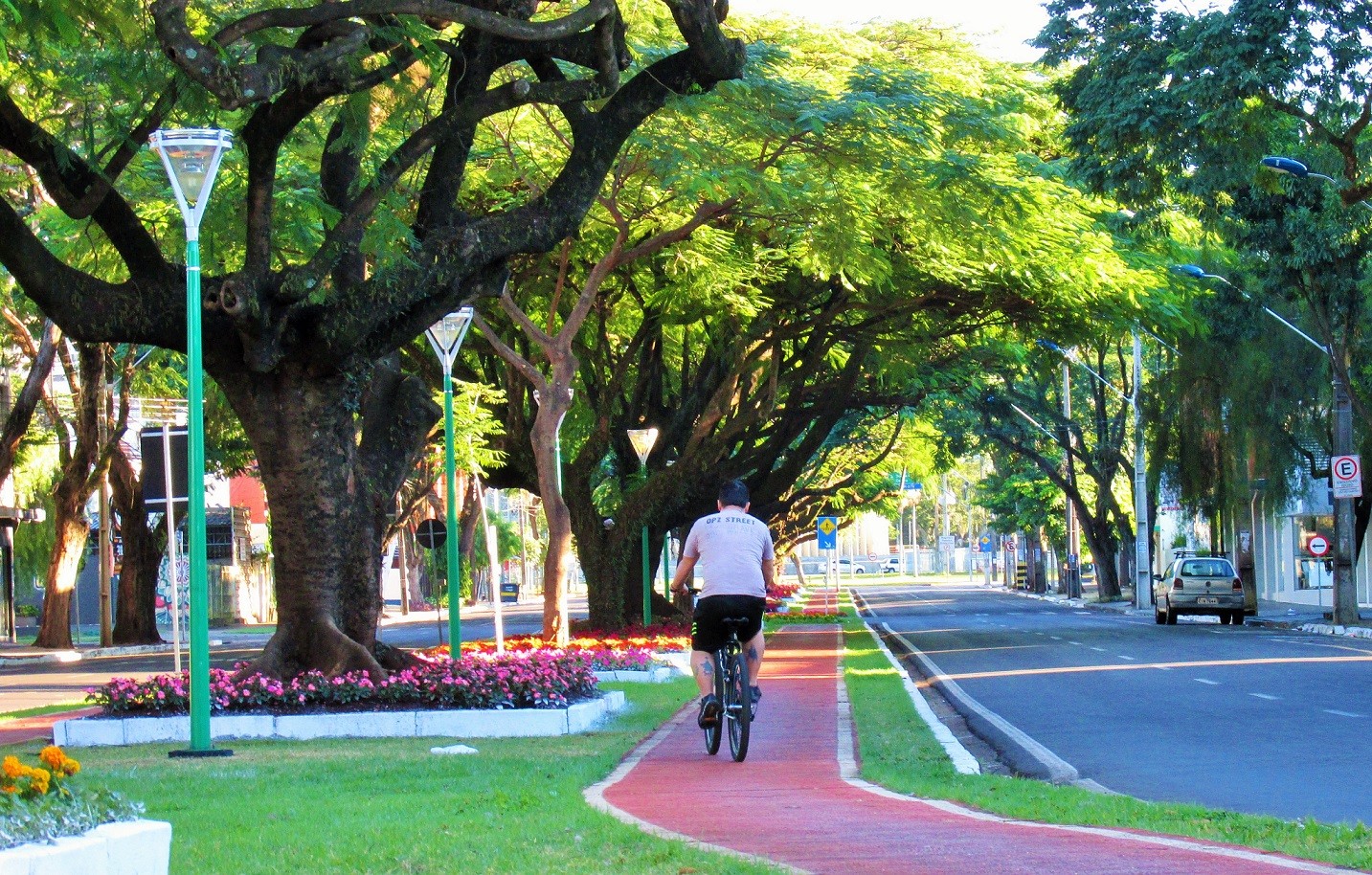 Edital prevê construção de ciclovia na Avenida Tuiuti