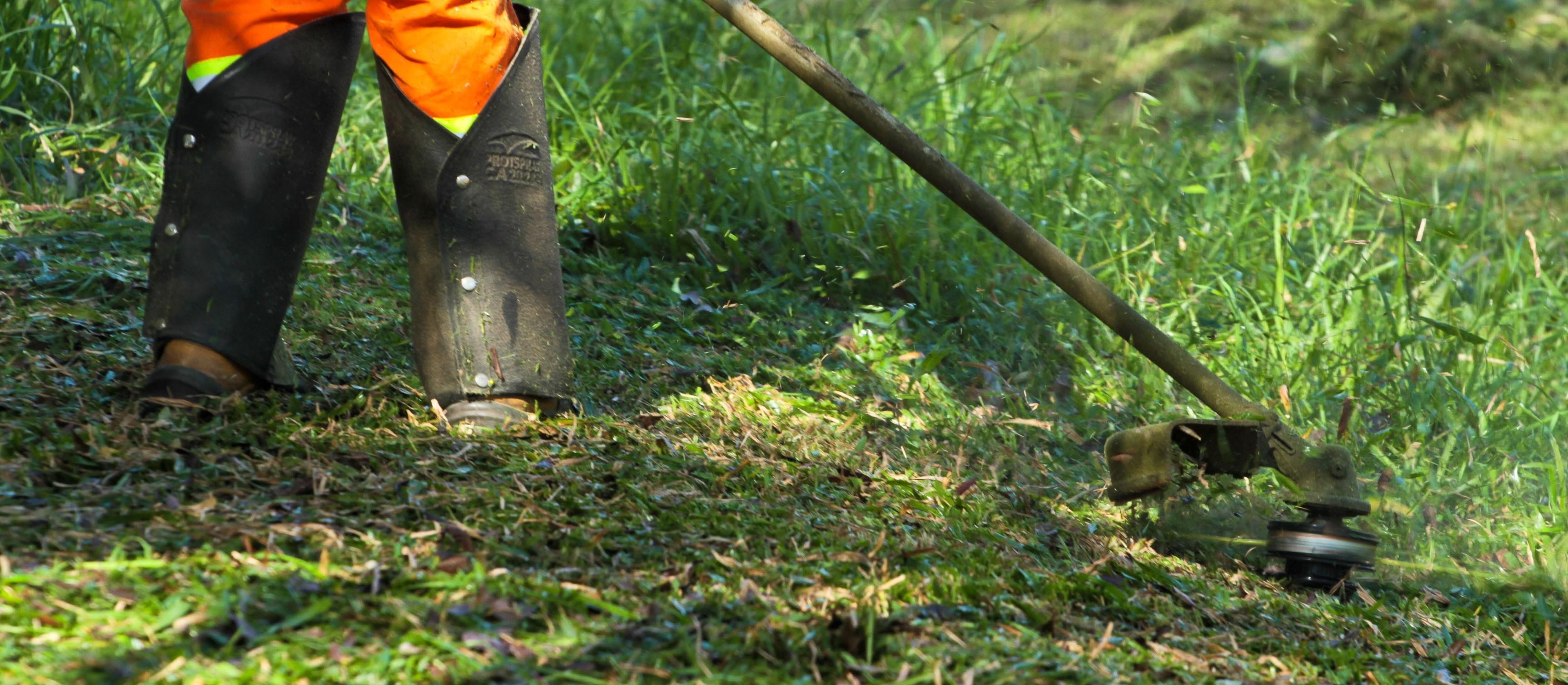 Lei das roçadas será regulamentada esta semana e aumenta rigor na fiscalização