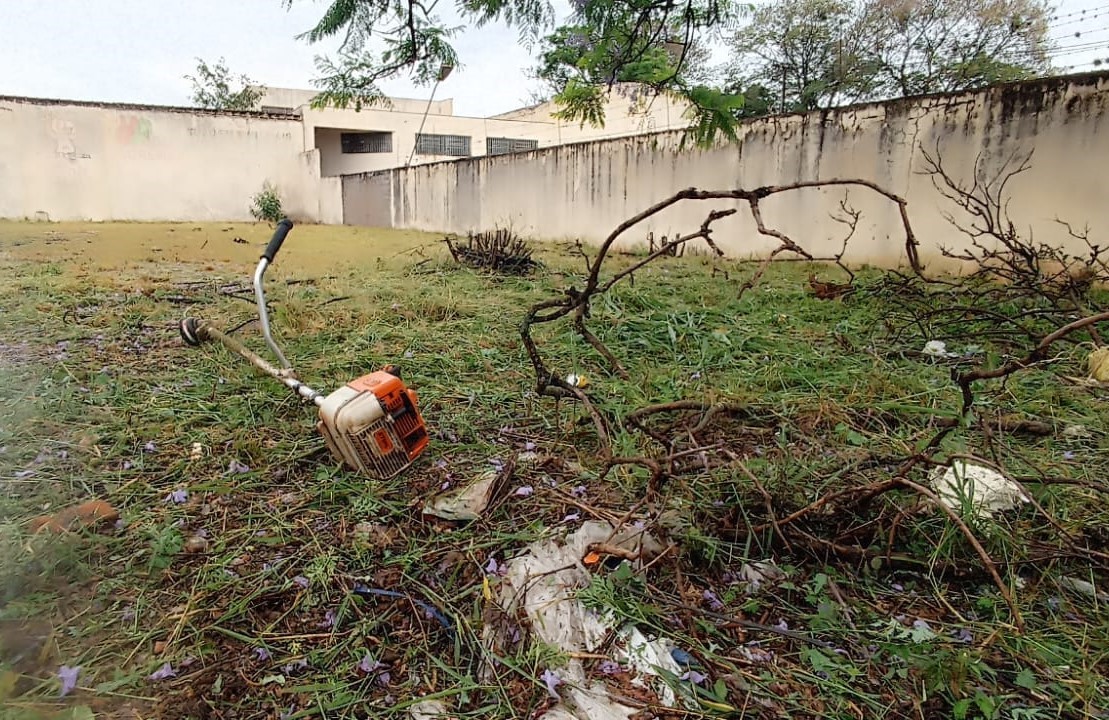 Trabalhador é atacado por abelhas na Zona 6, em Maringá