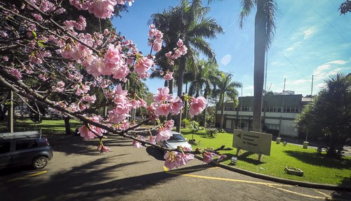 30 anos de ensino público e gratuito