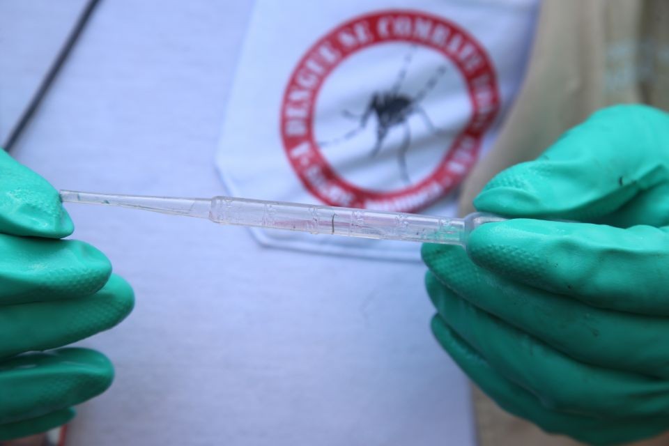 Dengue: 1º Lira do ano aponta risco médio de infestação em Maringá