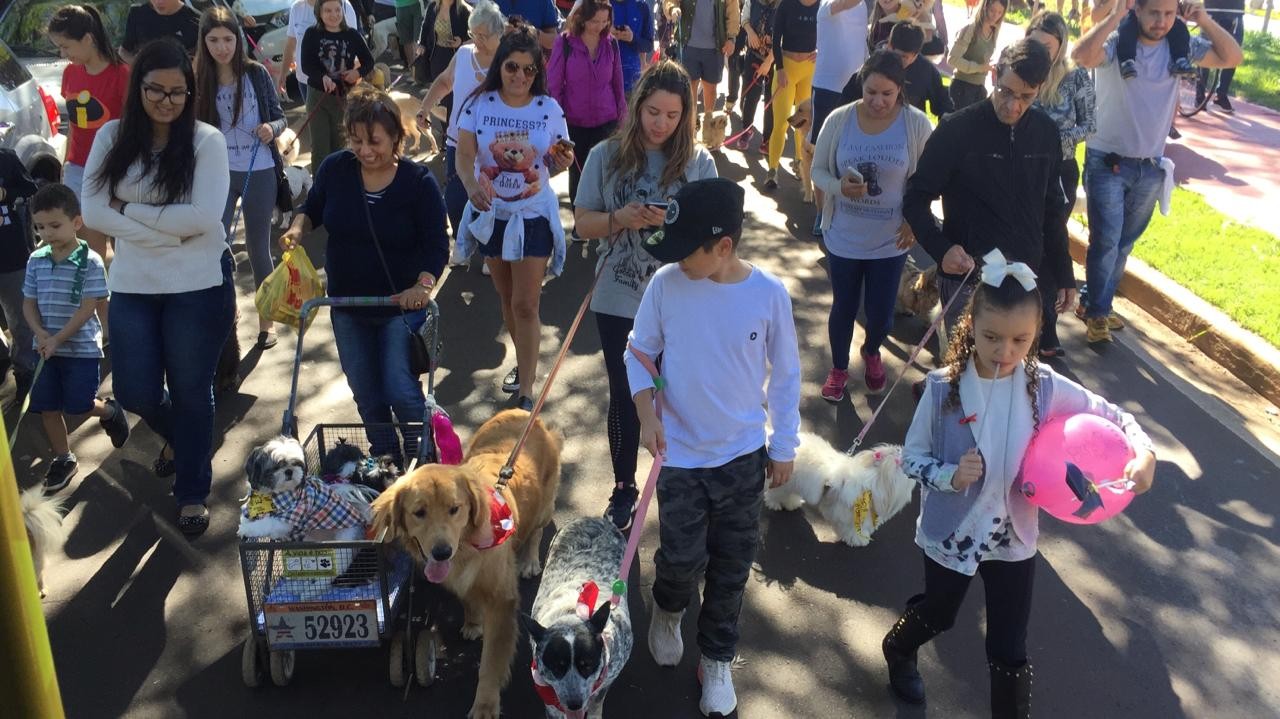 PetDay Cãominhada proporciona saúde e lazer aos pets e seus donos