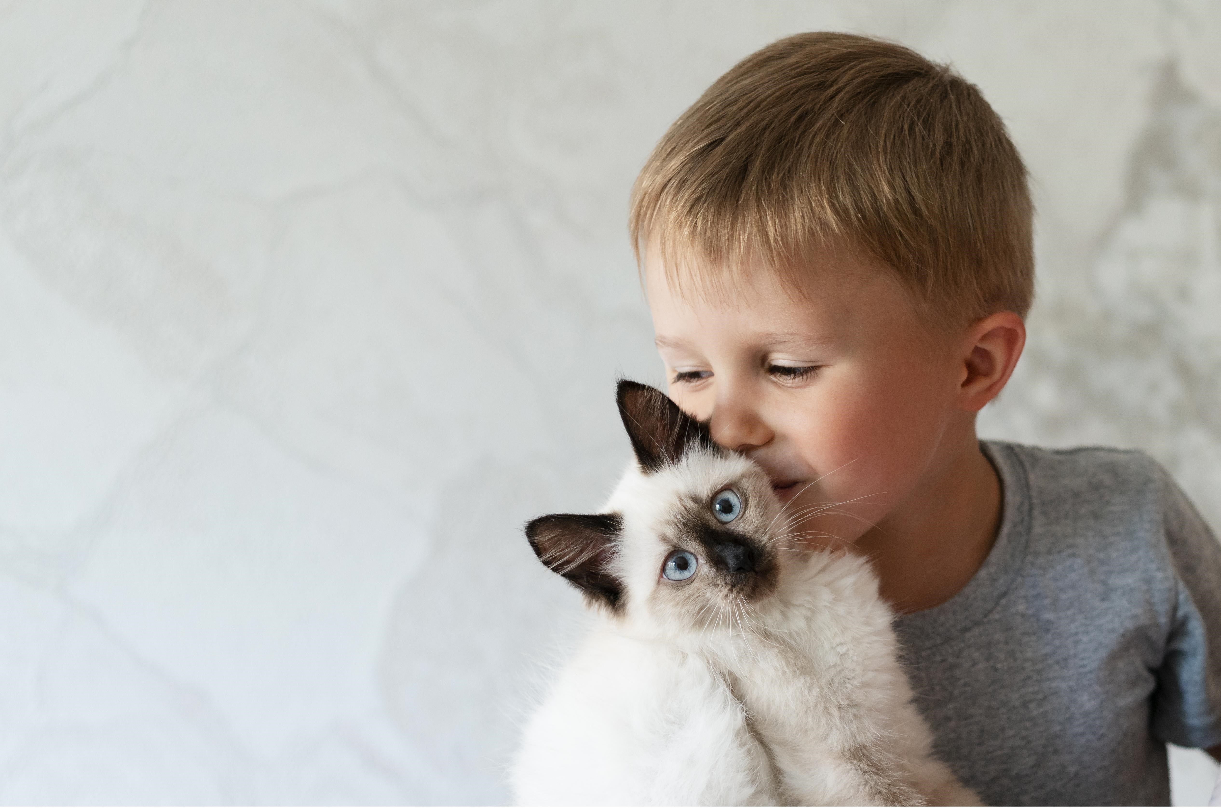 Imunoterapia é o melhor tratamento para crianças que têm alergias a pets