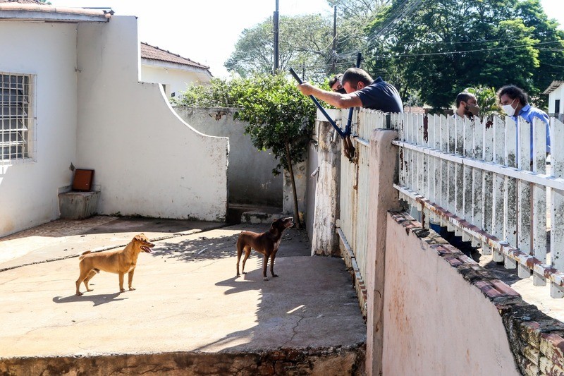 Cães abandonados são resgatados em casa de Maringá