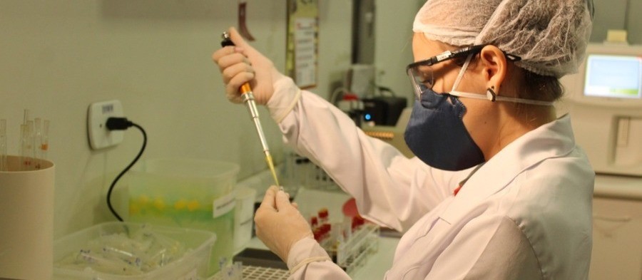 Coronavírus: confira os dados deste domingo (22) em Maringá