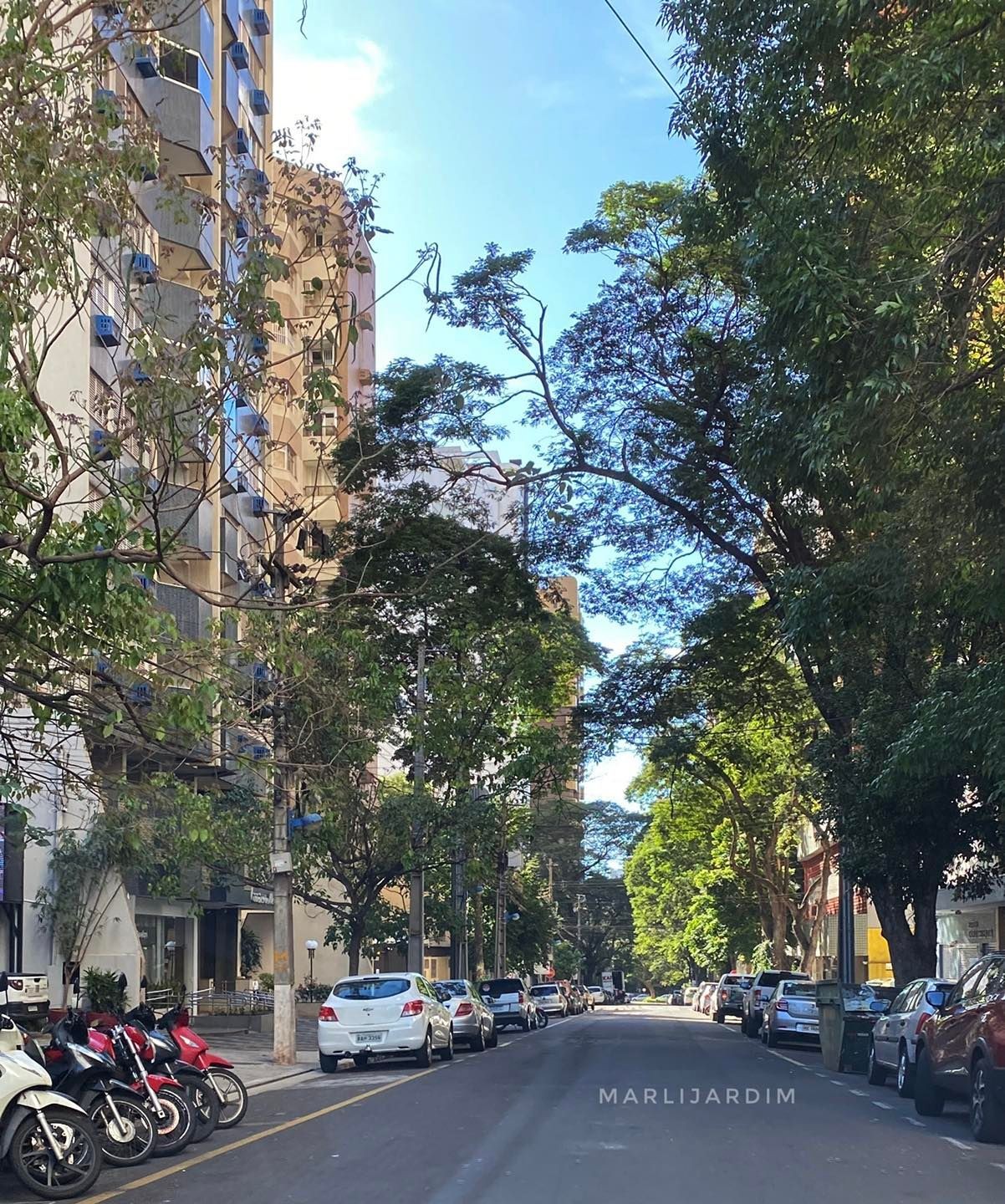 Em Maringá, semana começa com tempo firme e quente