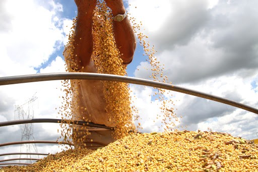 Apesar de custos mais altos, poder de compra do sojicultor aumenta em 2019