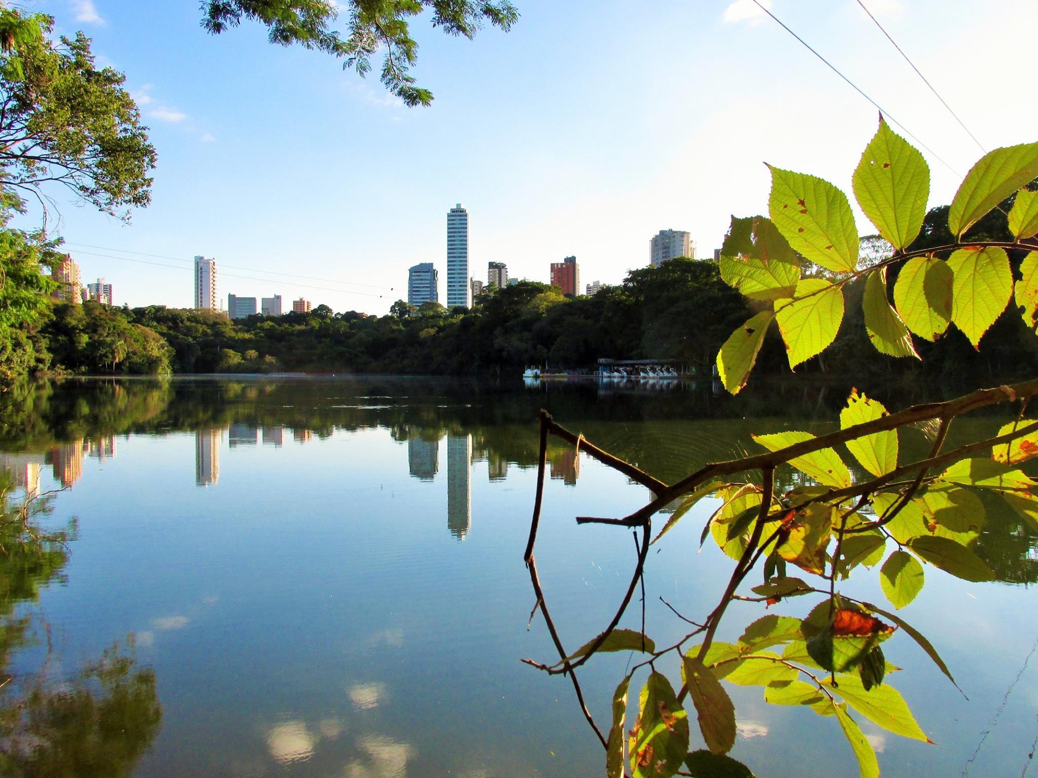 Sol predomina em Maringá nesta sexta (4) e no fim de semana; confira previsão