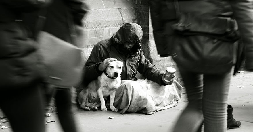 Pesquisa traduz em números a relação entre moradores de rua e animais de estimação