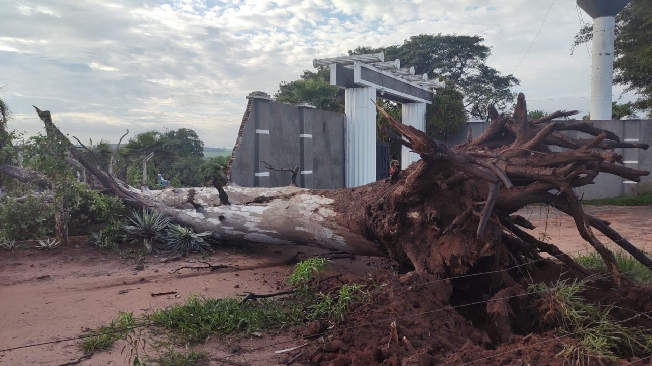 13 árvores caem e ruas ficam alagadas após temporal em Paranavaí