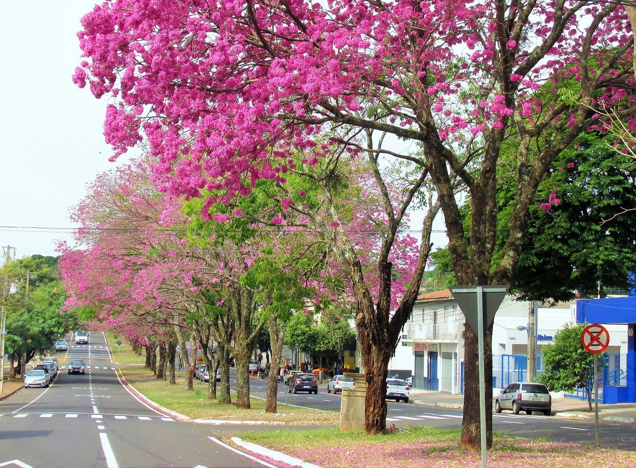 Sexta-feira (12) de tempo estável em Maringá; temperaturas seguem baixas no fim de semana