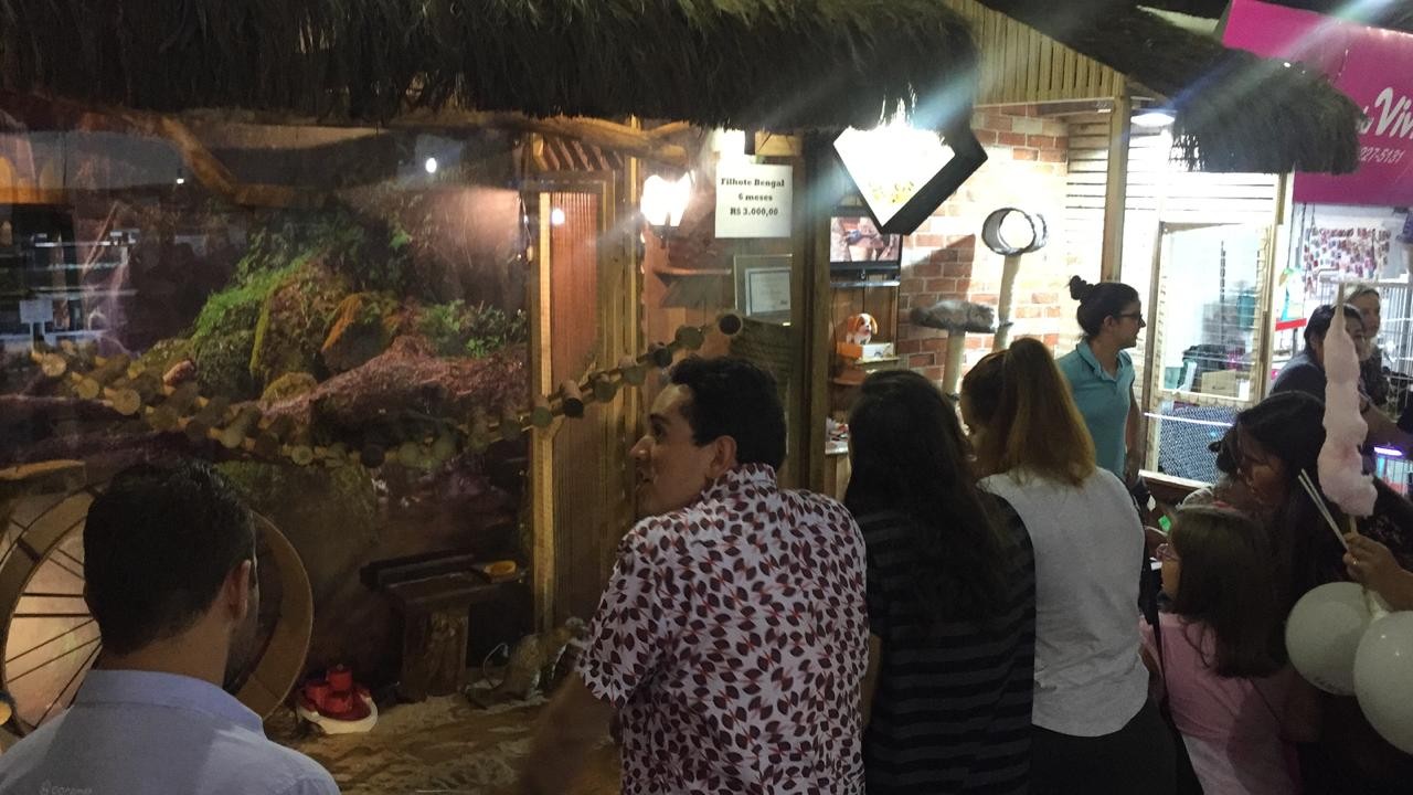 Pavilhão de pequenos animais tem várias espécies em exposição