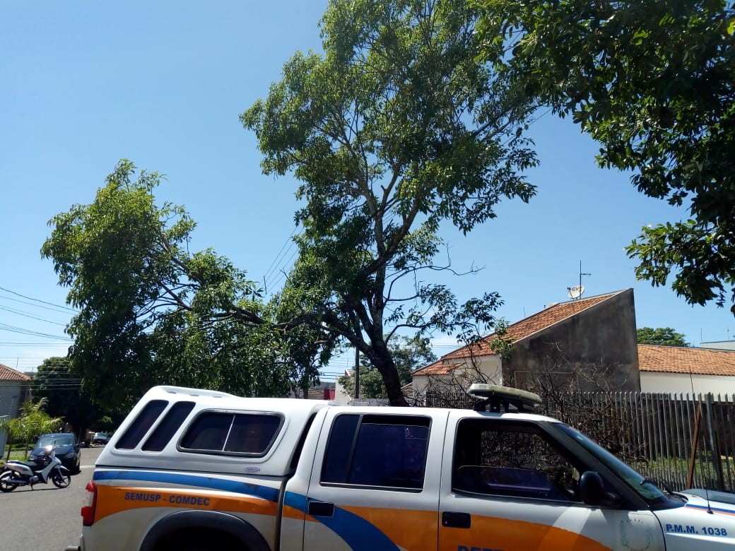 Mais de 50 imóveis de Maringá, Sarandi e Paiçandu estão sem luz