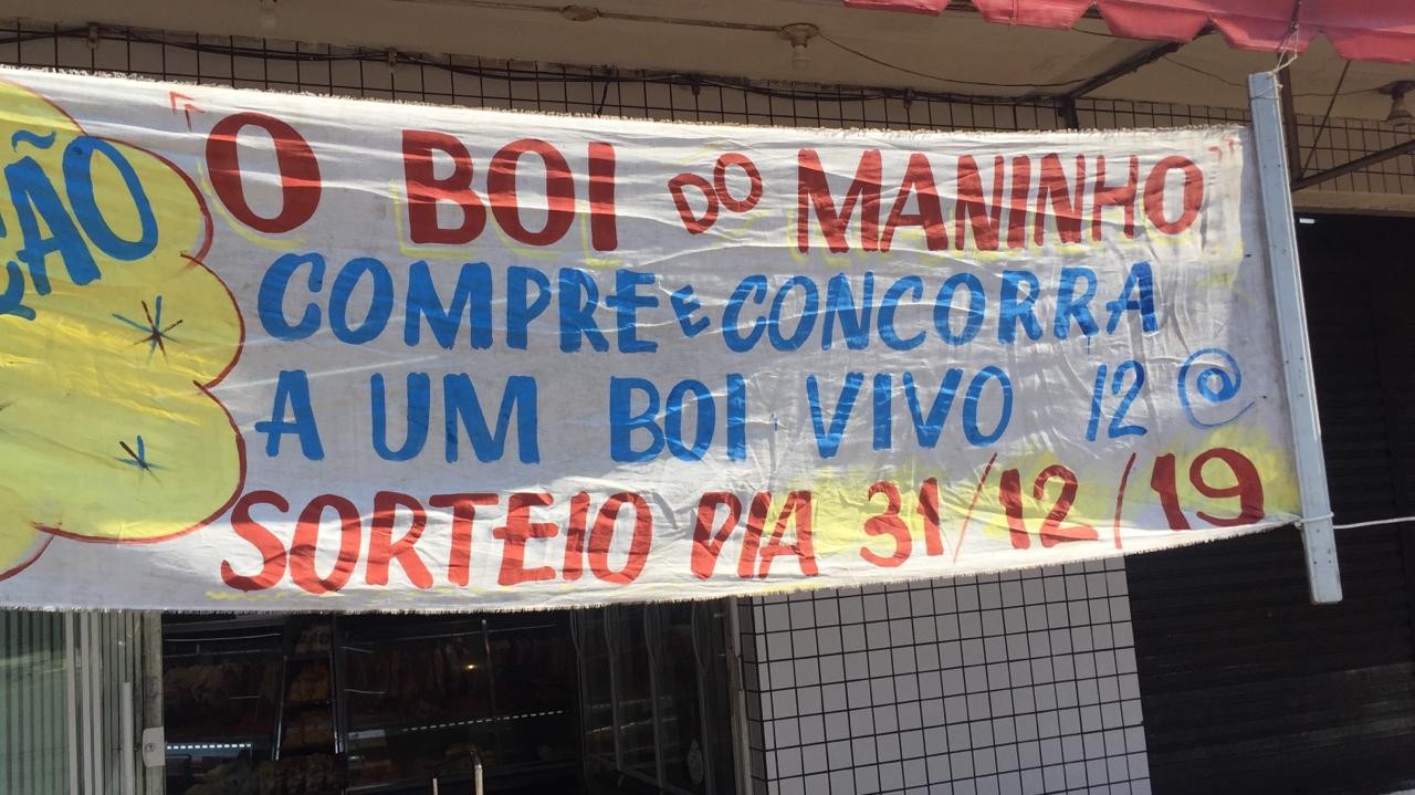 Para aquecer as vendas de fim de ano, açougue sorteia um boi vivo
