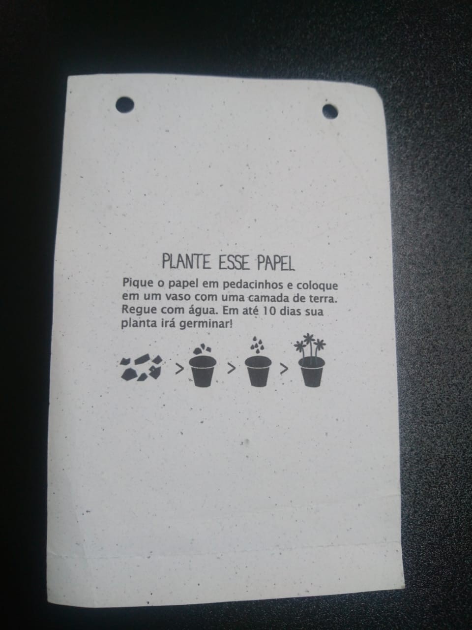 Empresas fazem eventos e se preocupam com práticas sustentáveis