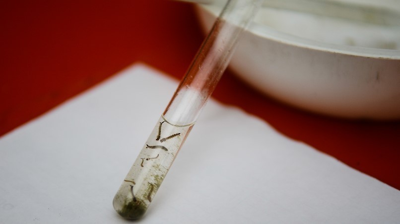 Sesa confirma 1ª morte em Sarandi e 2ª em Maringá