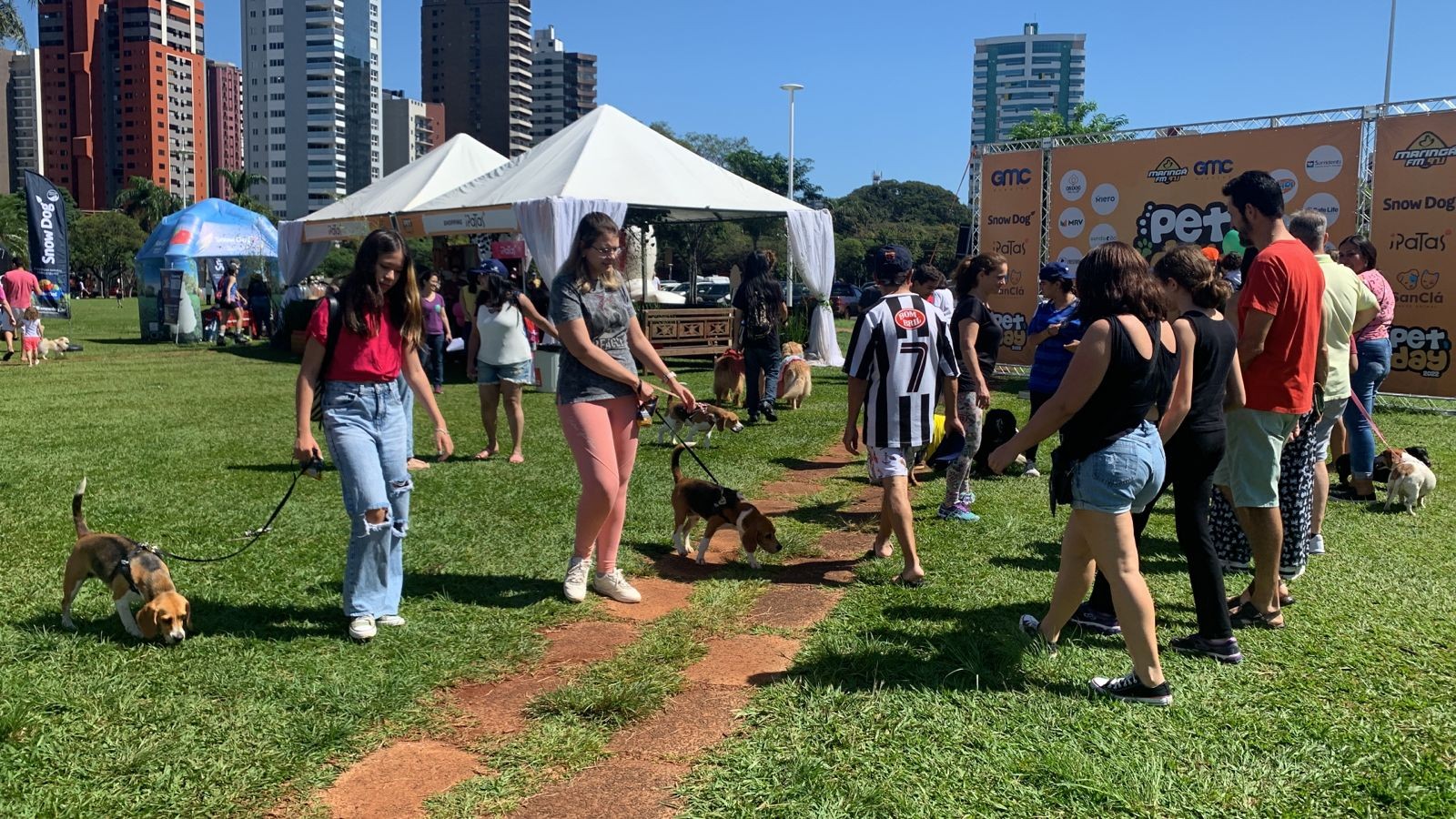 Pet Day é realizado na Praça da Catedral, em Maringá
