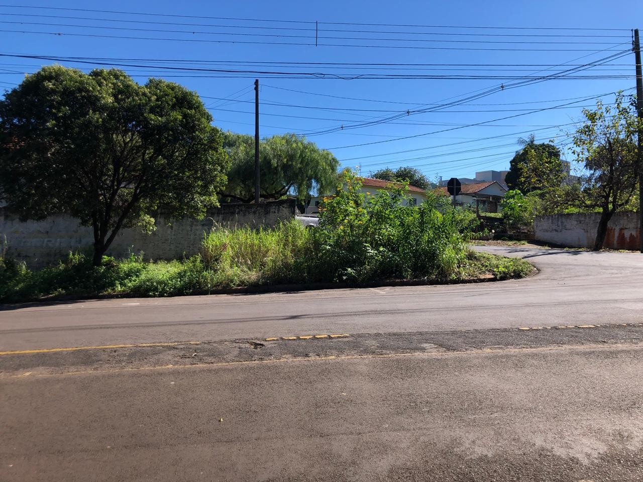 Meio ambiente, meio compromisso