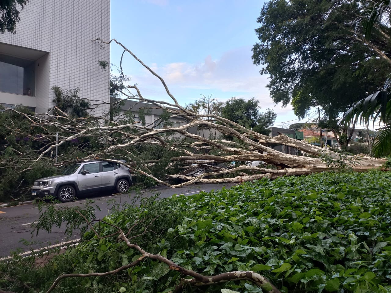 Prefeitura de Maringá divulga balanço parcial após temporal da quinta-feira (2)