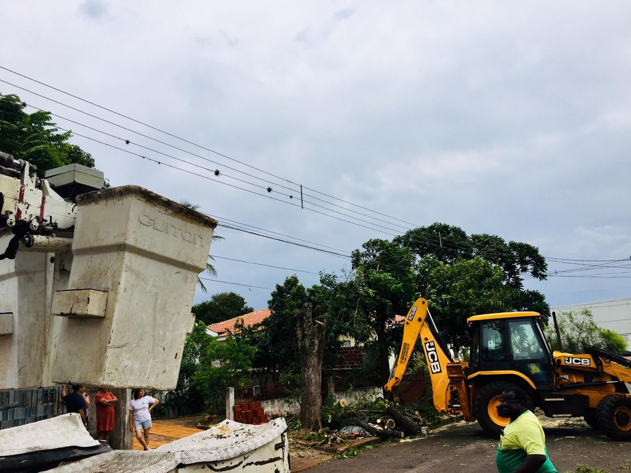 15 árvores caíram em Maringá nesta quarta (31)