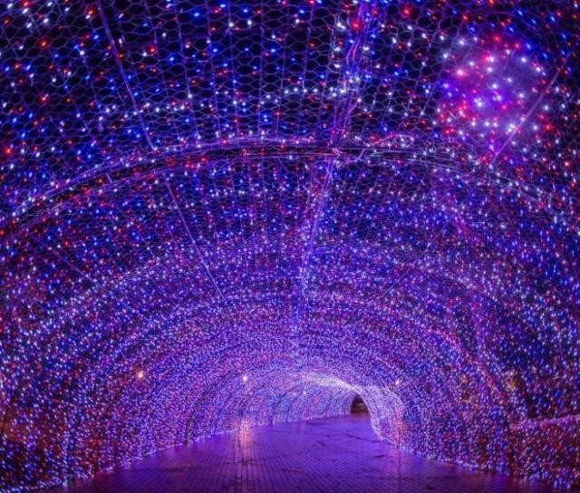 TCE-PR suspende licitação para restauração dos enfeites de Natal