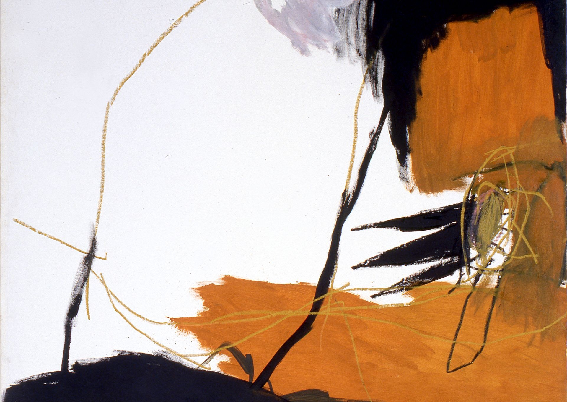 Maringá sedia exposição com obras do MAC