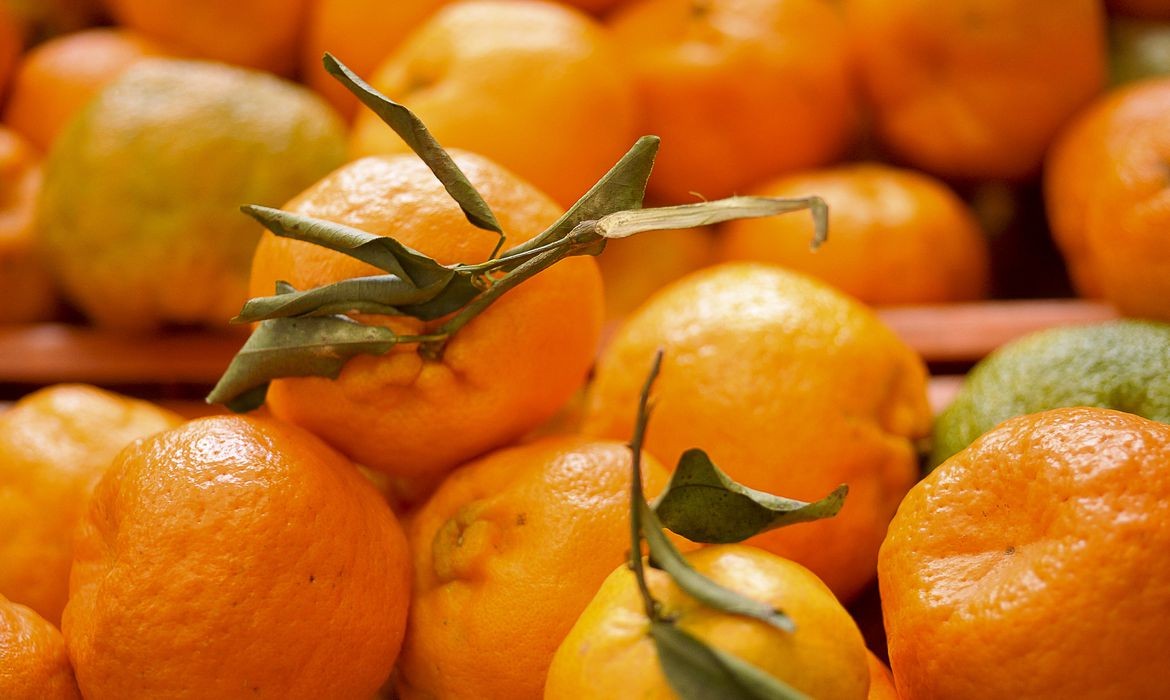 Brasil alcança recorde histórico de exportações de frutas