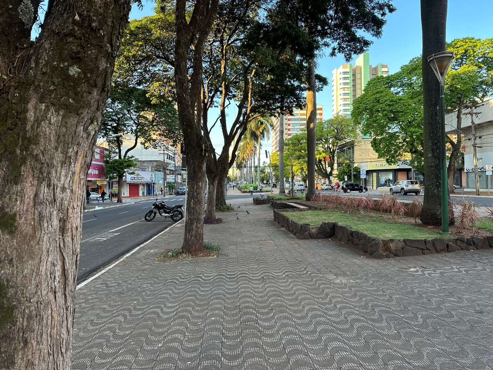 Veja como fica o tempo nesta segunda-feira (28) em Maringá