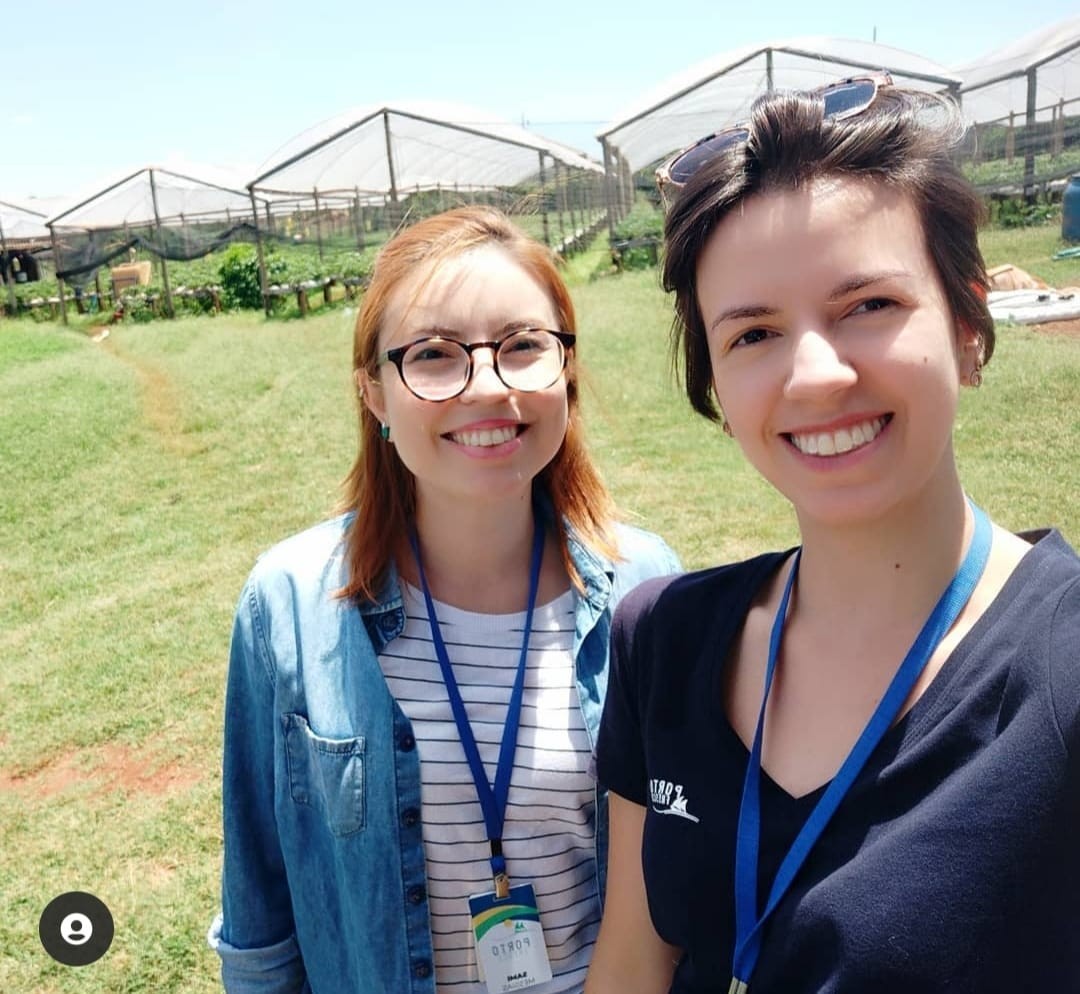 Startup une tecnologia, agricultura familiar e vendas em Maringá