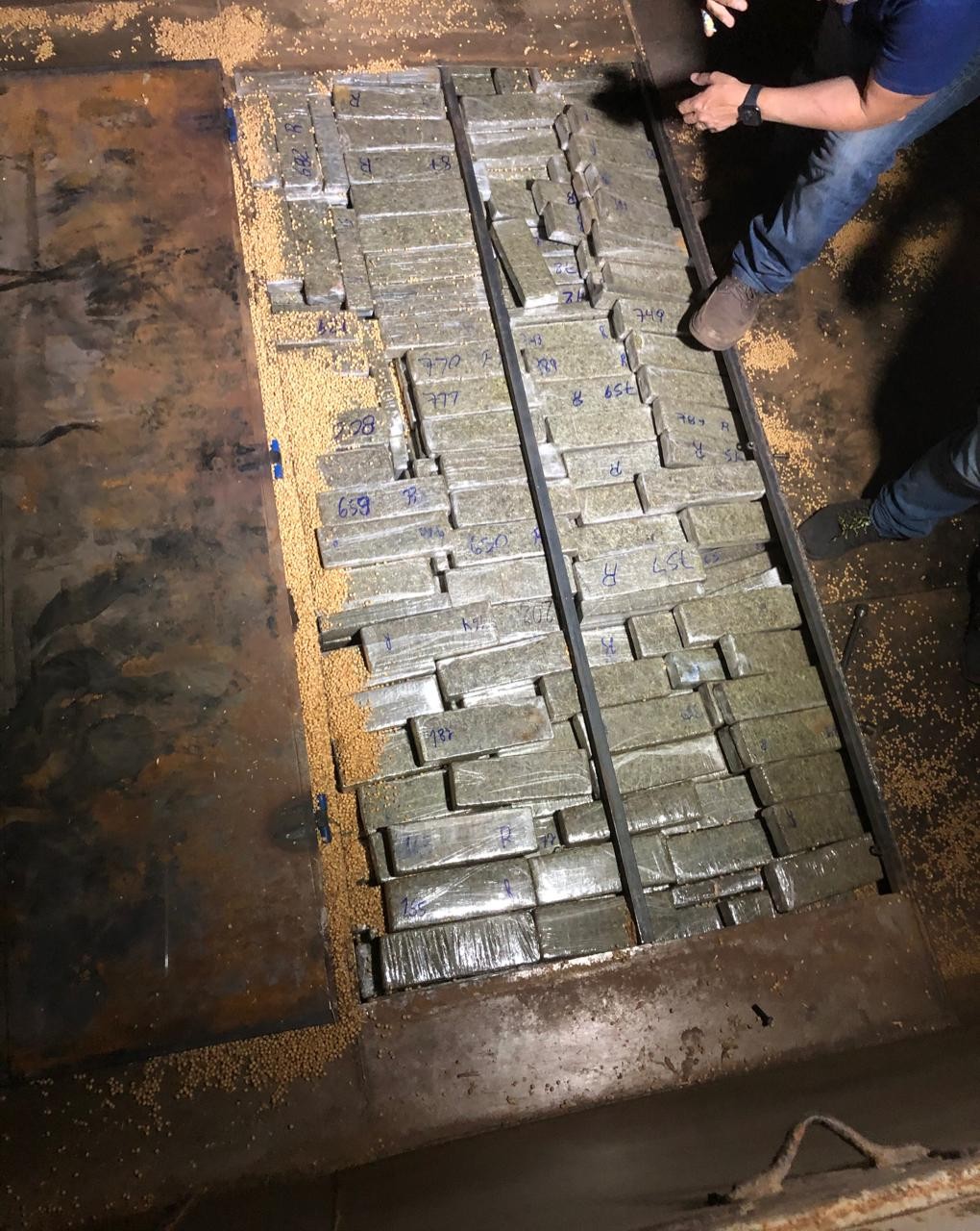 Denarc apreende 580 quilos de maconha na PR-323