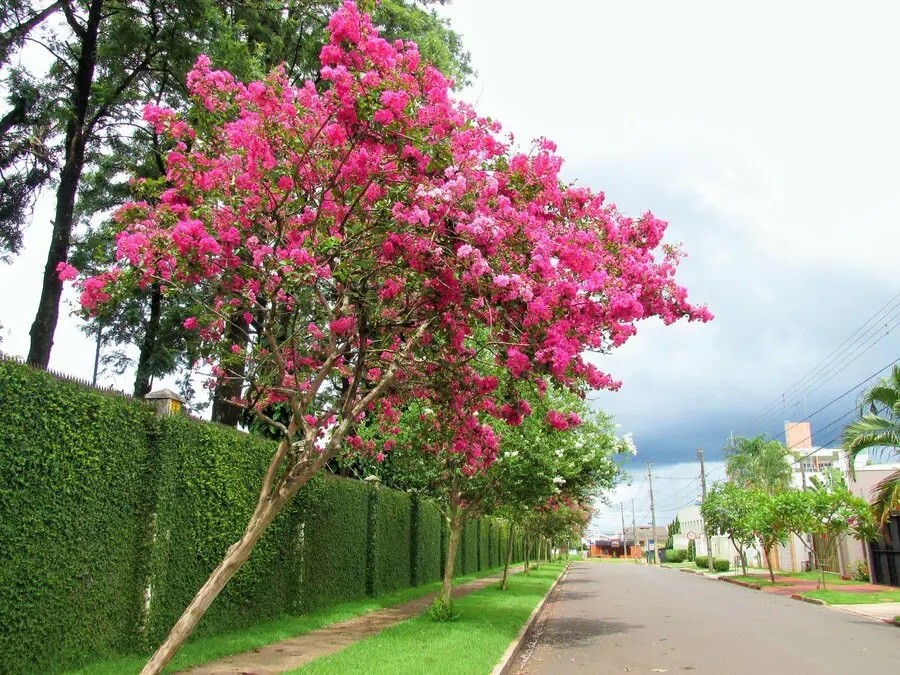 Sábado de tempo instável e calor de 35ºC em Maringá, diz Simepar
