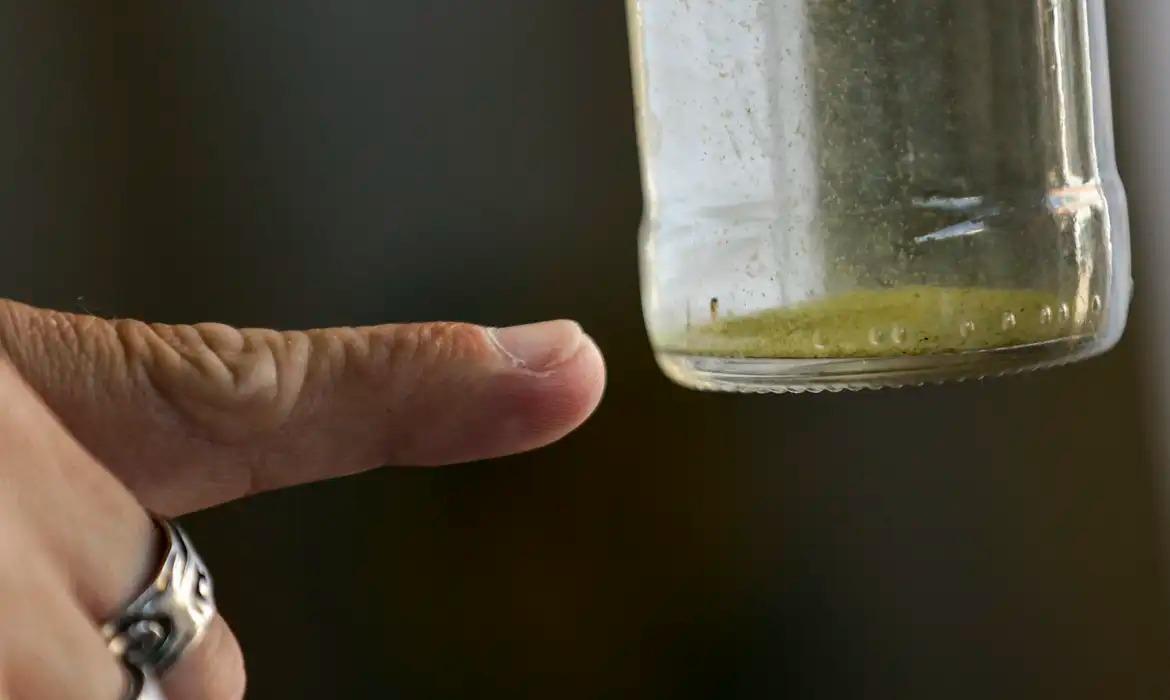 Lira aponta índice médio de 2,6% de infestação do mosquito da dengue em Maringá