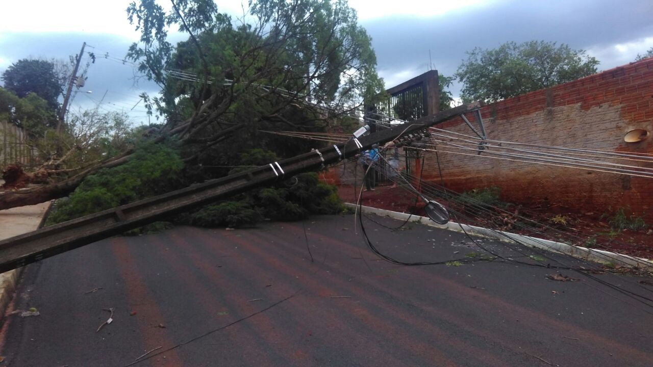 Ao menos 65 árvores caíram em Maringá