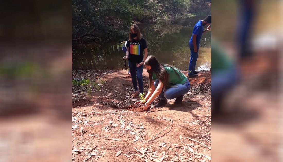 Lagoa do Horto Florestal de Astorga está secando, diz Sodema