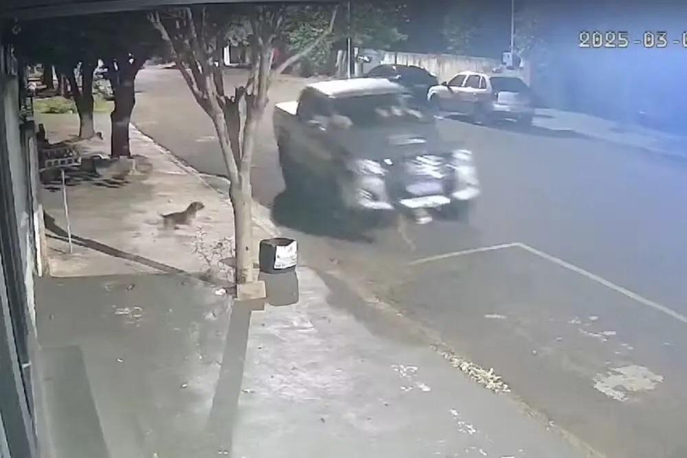 Polícia ouve suspeito de atropelar de propósito cão em Porto Rico