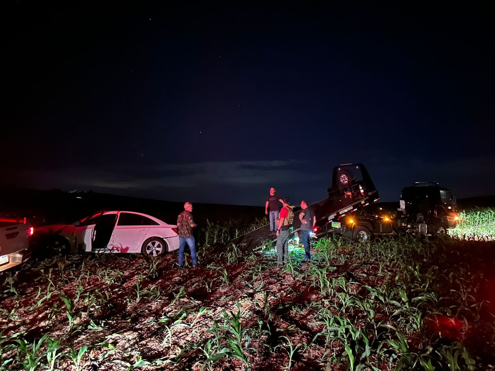 PF e RF apreendem mais de 400 kg de maconha e skunk