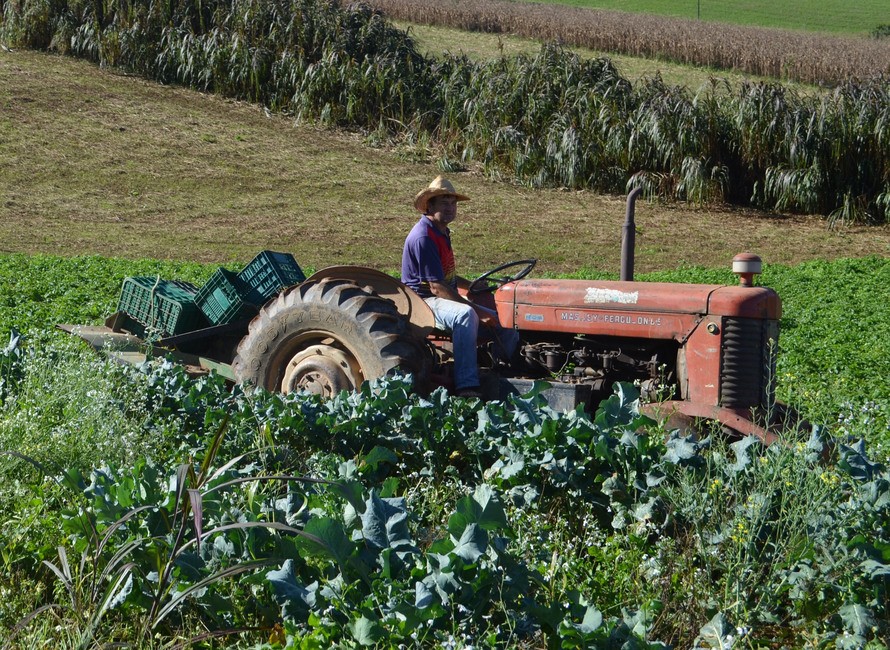 Agricultura familiar é responsável pela renda de 40% da população brasileira